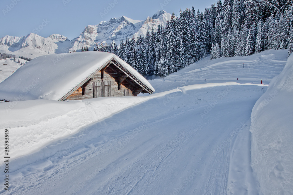 Beautiful winter Alp scenery in Adelboden, Switzerland