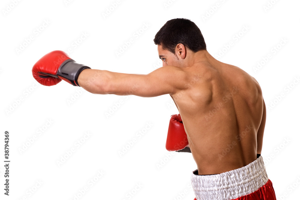 Naklejka premium Boxer