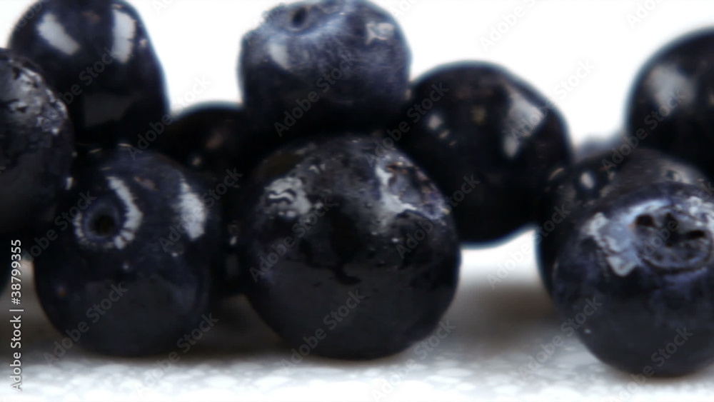 Close up slow panorama of blueberries.