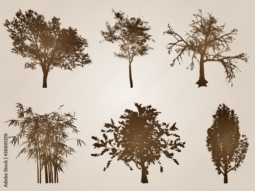 Fototapeta premium High resolution set of vintage old trees