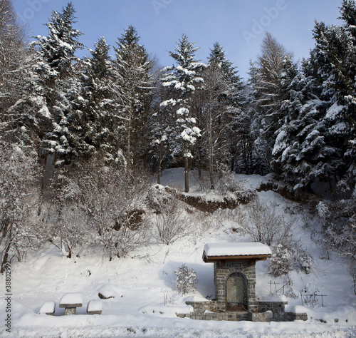 cappellina nel bosco photo