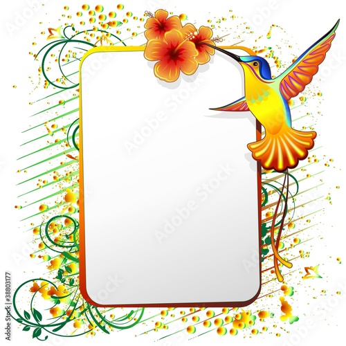Colibri Sfondo Design-Hummingbird Ornamental Background-2