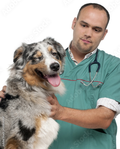 Vet examining a winking Australian Shepherd in front of white