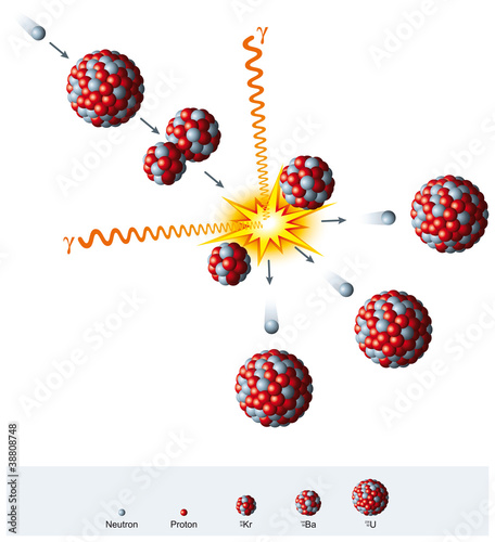 Nuclear fission of Uranium. Radioactive decay process. Uranium atom nucleus splits into smaller isotopes krypton and barium, producing free neutrons, gamma rays and energy. Illustration over white.