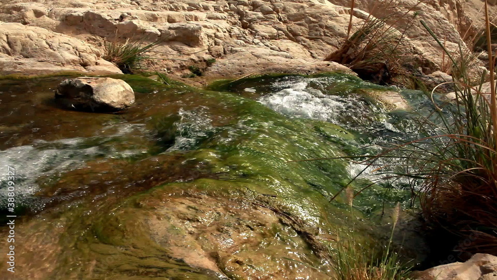 Stock Video Footage of water cascading down mossy rocks in a blur in Israel.