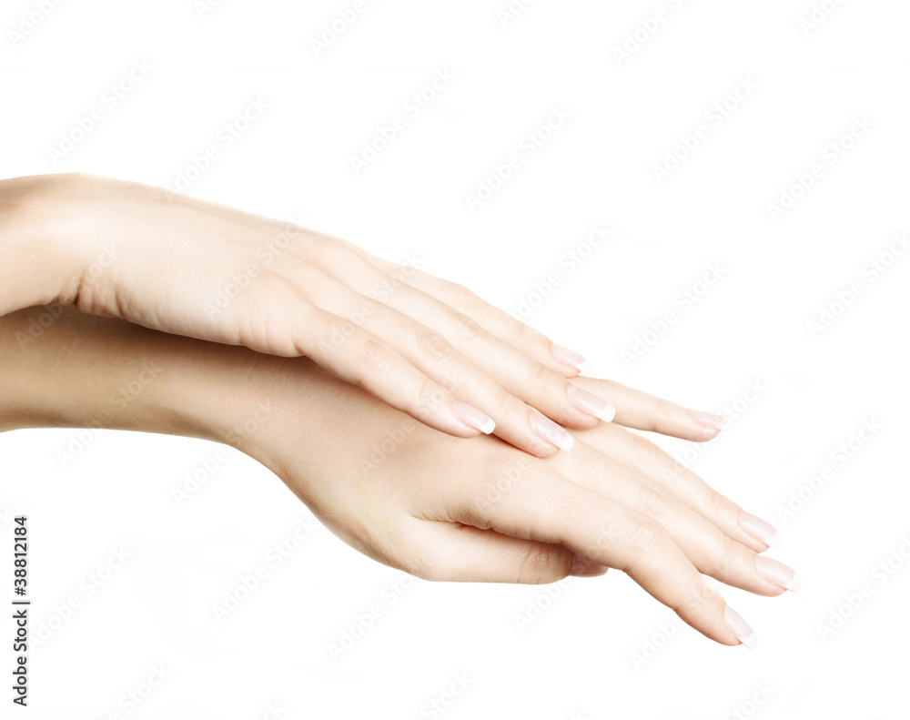 Female Hands Female Hands