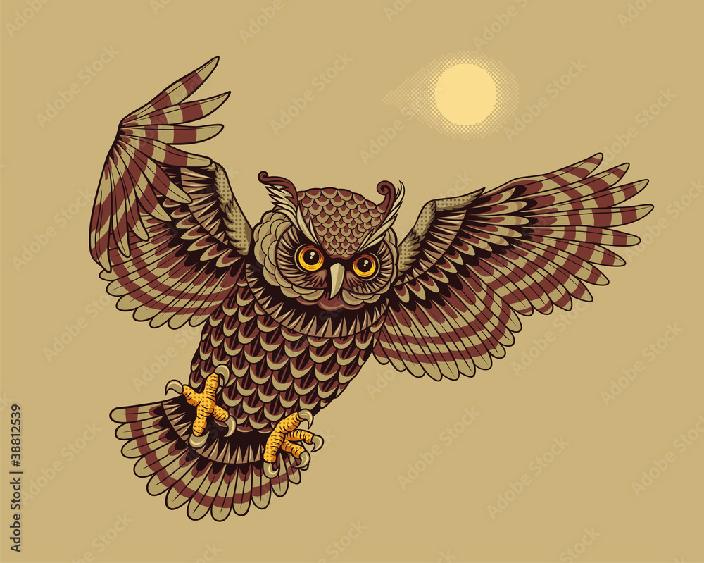Fototapeta premium Flying owl bird