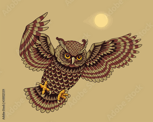 Flying owl bird