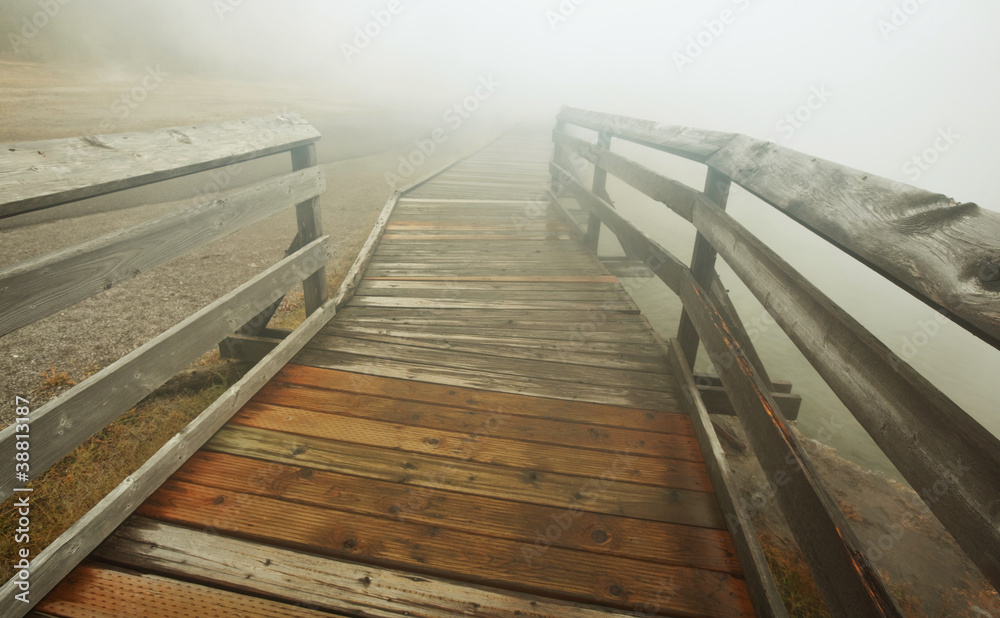 Fototapeta premium Yellowstone