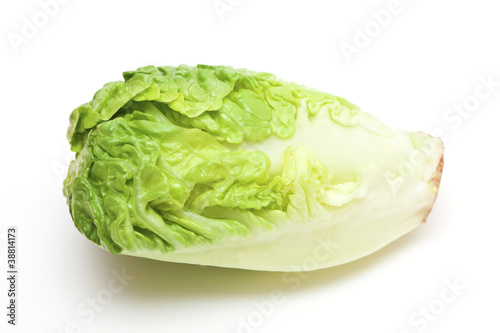 Baby Lettuce isolated on white
