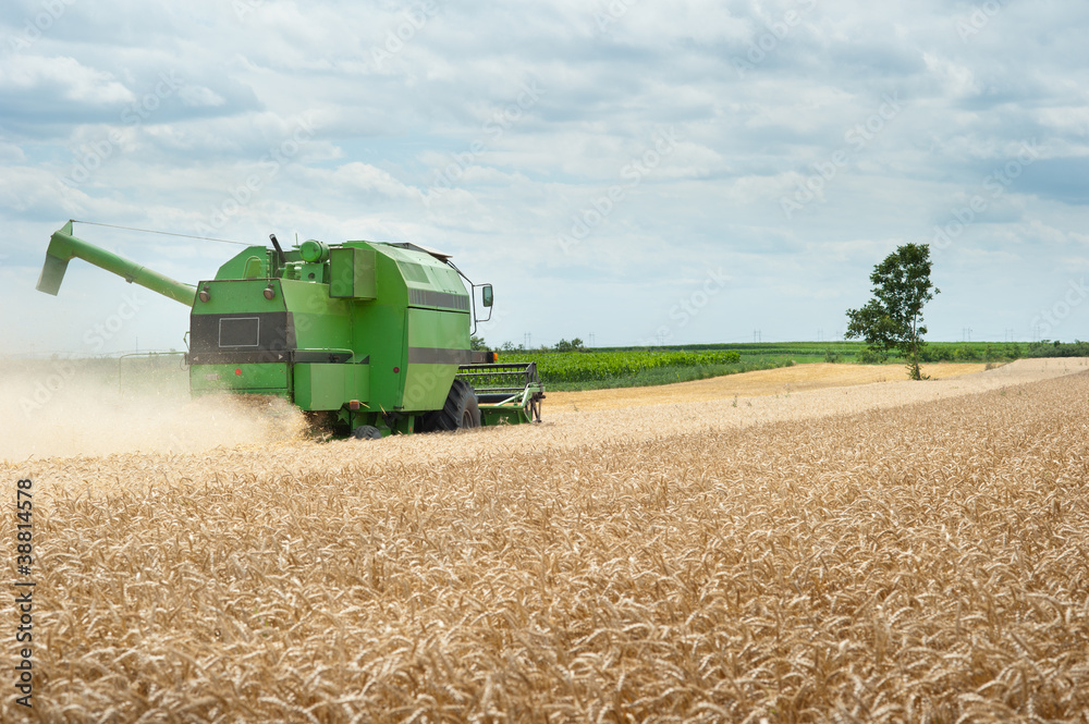 Obraz premium combine harvester