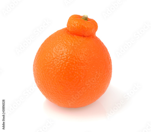 Fresh organic tangelo on white background