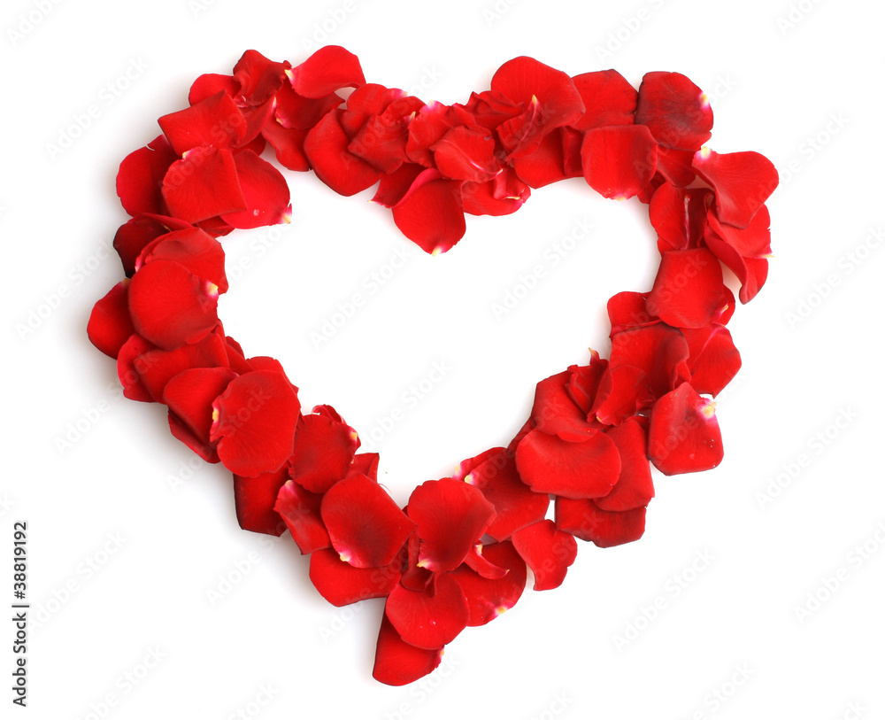 beautiful heart of red rose petals isolated on white beautiful heart of red rose petals isolated on white