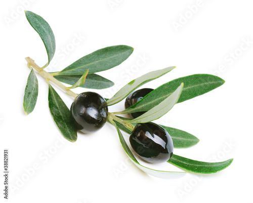 Olives over white