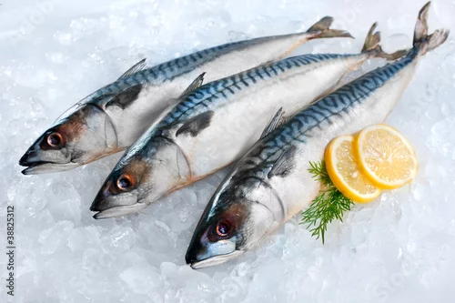 Obraz Mackerel fish on ice