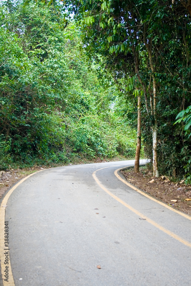 Obraz premium Curve_street