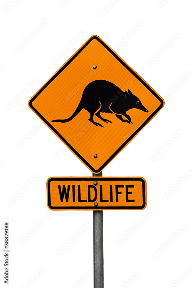 Australian native wildlife roadsign showing a bandicoot Australian native wildlife roadsign showing a bandicoot