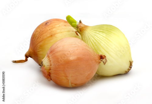 Wallpaper Mural Onion Torontodigital.ca