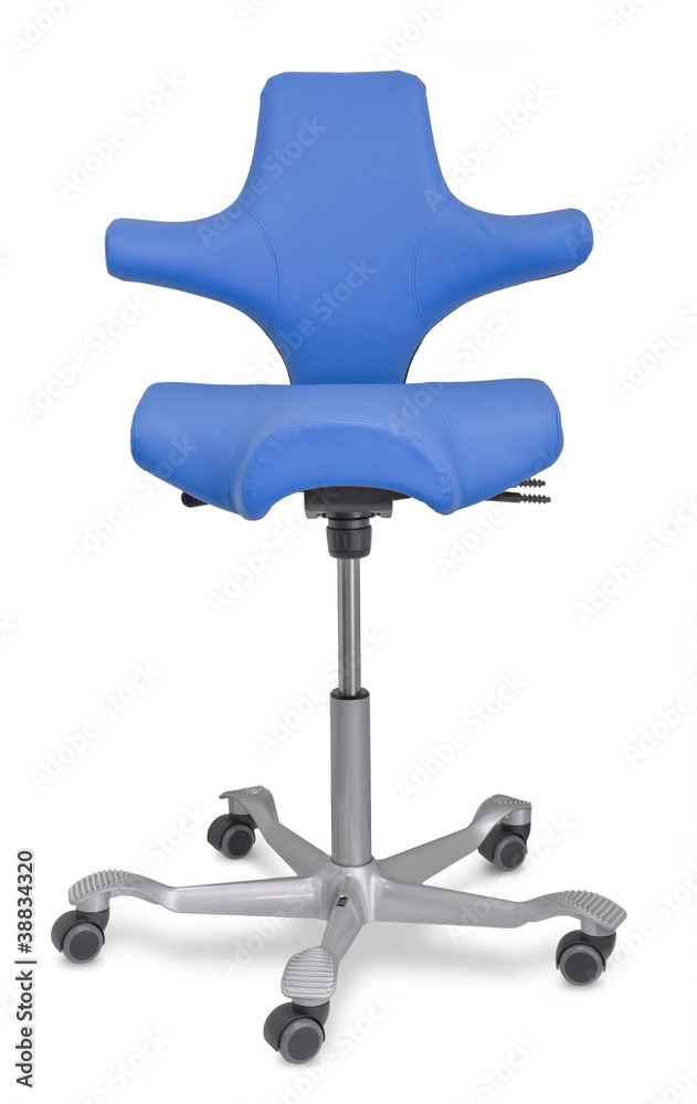 Ergonomic chair Ergonomic chair