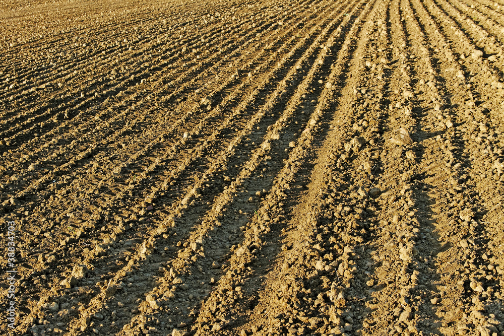 Cultivated field. Cultivated field.