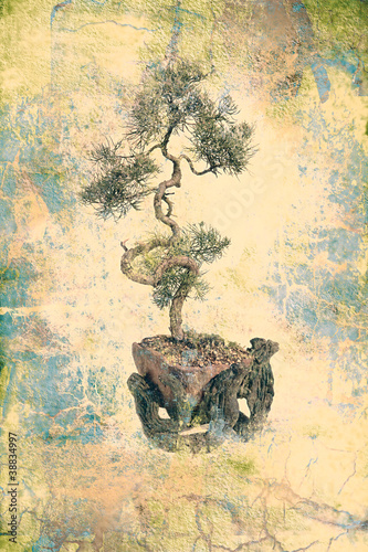bonsai tree on grungy textured old paper