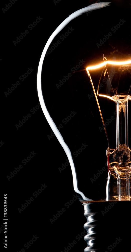 incandescent light bulb incandescent light bulb
