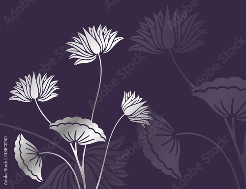 Fototapeta Naklejka Na Ścianę i Meble -  water lilies, background, royal India