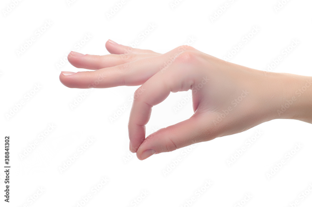 female Hand OK sign or holding something isolated on white backg