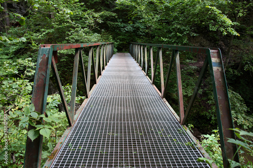 Fototapeta old metal footbridge in the woods