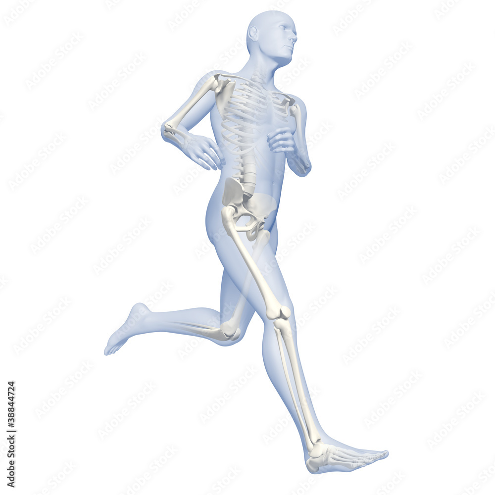 Laufender Mann Silhouette mit Skelett Laufender Mann Silhouette mit Skelett