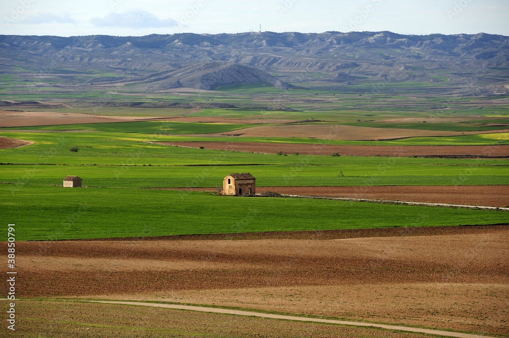 Obraz premium campo de belchite