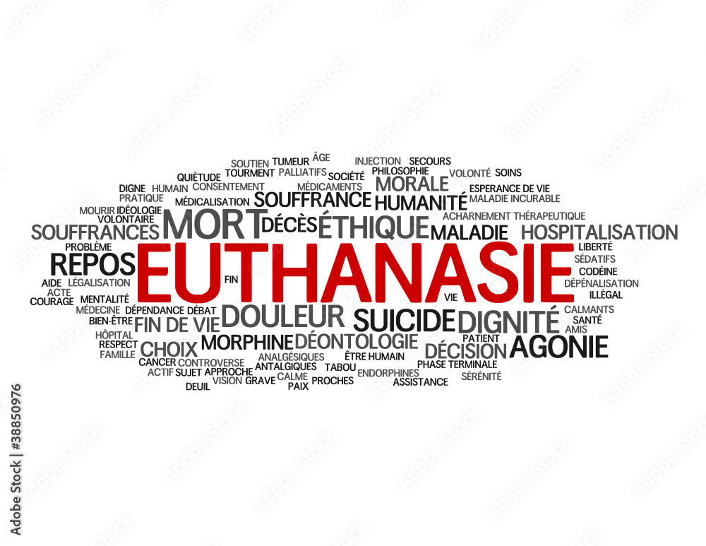 Nuage De s Euthanasie Fin De Vie Souffrance Douleur Mort Stock Vector Adobe Stock