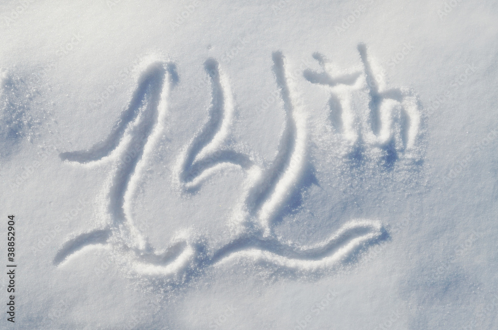 14th drawn on the snow