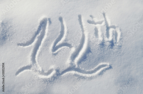 Obraz na płótnie 14th drawn on the snow w salonie