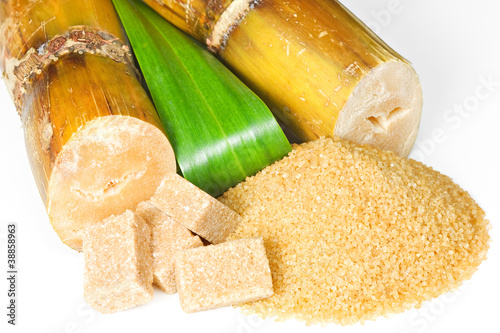 Sugarcane photo