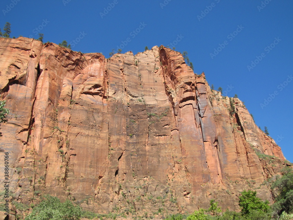 Fototapeta premium Zion national park (Utah, Etats-Unis)