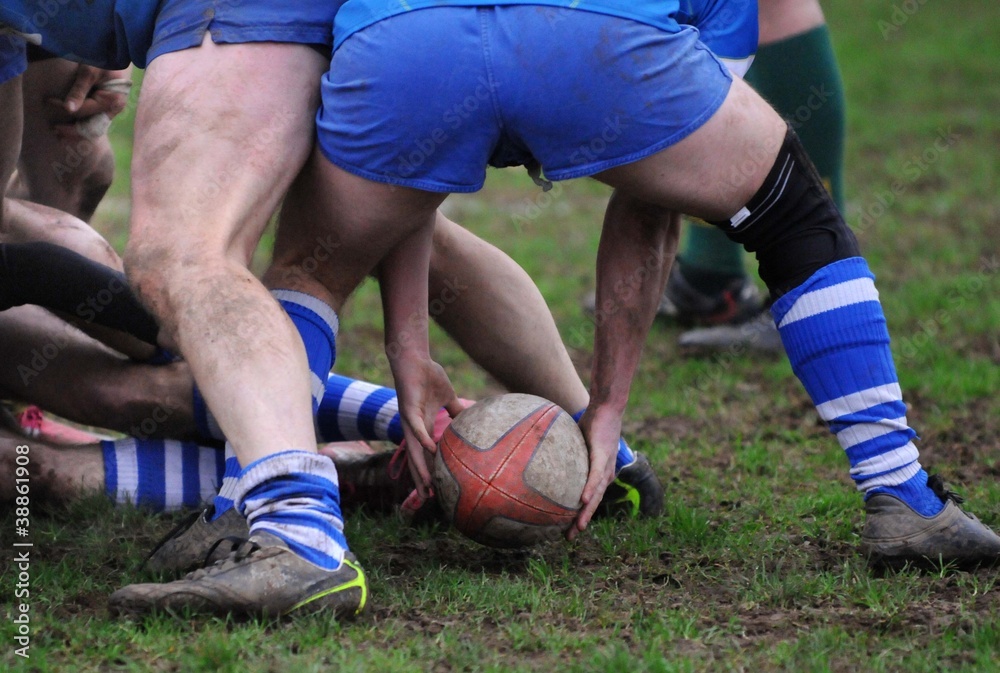 l'ovale du rugby