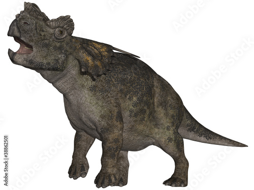 Achelousaurus - 3D Dinosaurier © Andreas Meyer