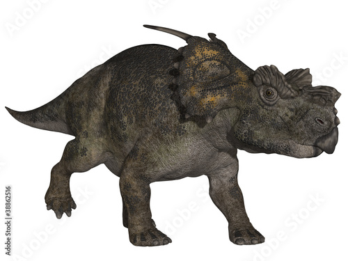Achelousaurus - 3D Dinosaurier © Andreas Meyer