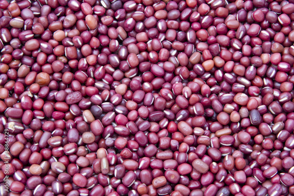 Red Bean Red Bean