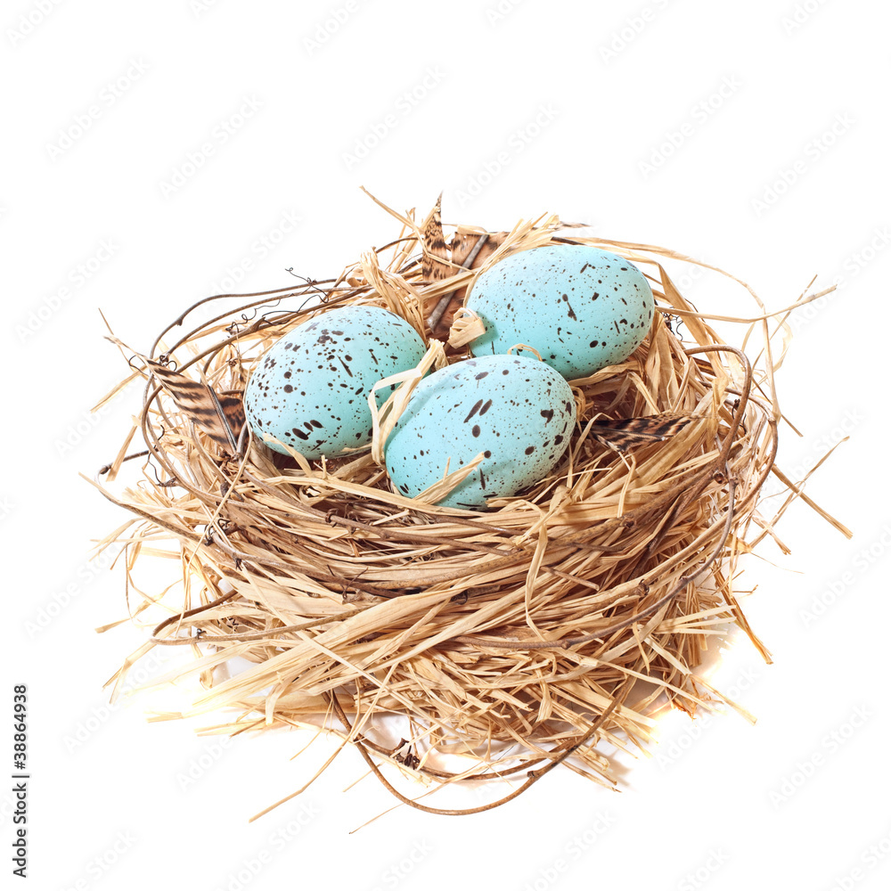 Obraz premium Nest of Easter Eggs