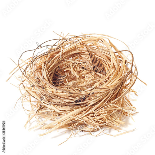 Empty Nest