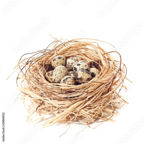 Nest Of Quail Eggs