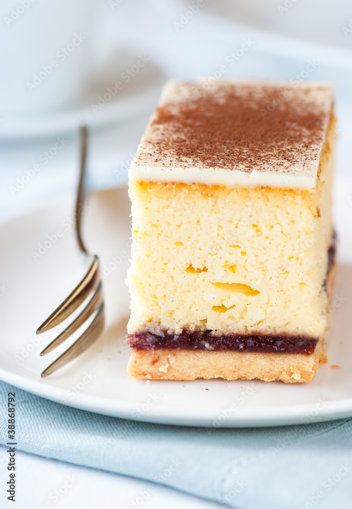 Piece of cheesecake with white chocolate and cocoa Piece of cheesecake with white chocolate and cocoa