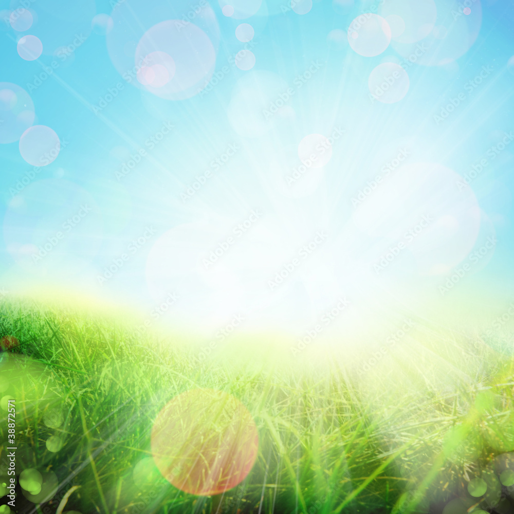 Obraz premium spring background