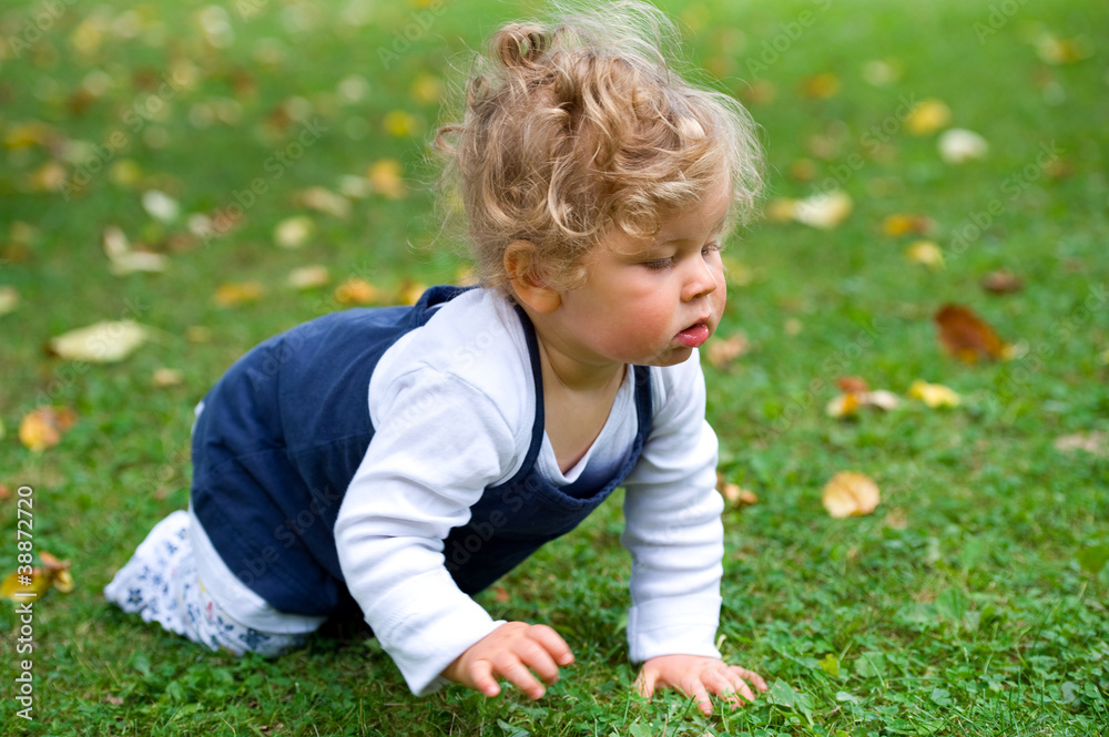 baby is crawling in the garden baby is crawling in the garden