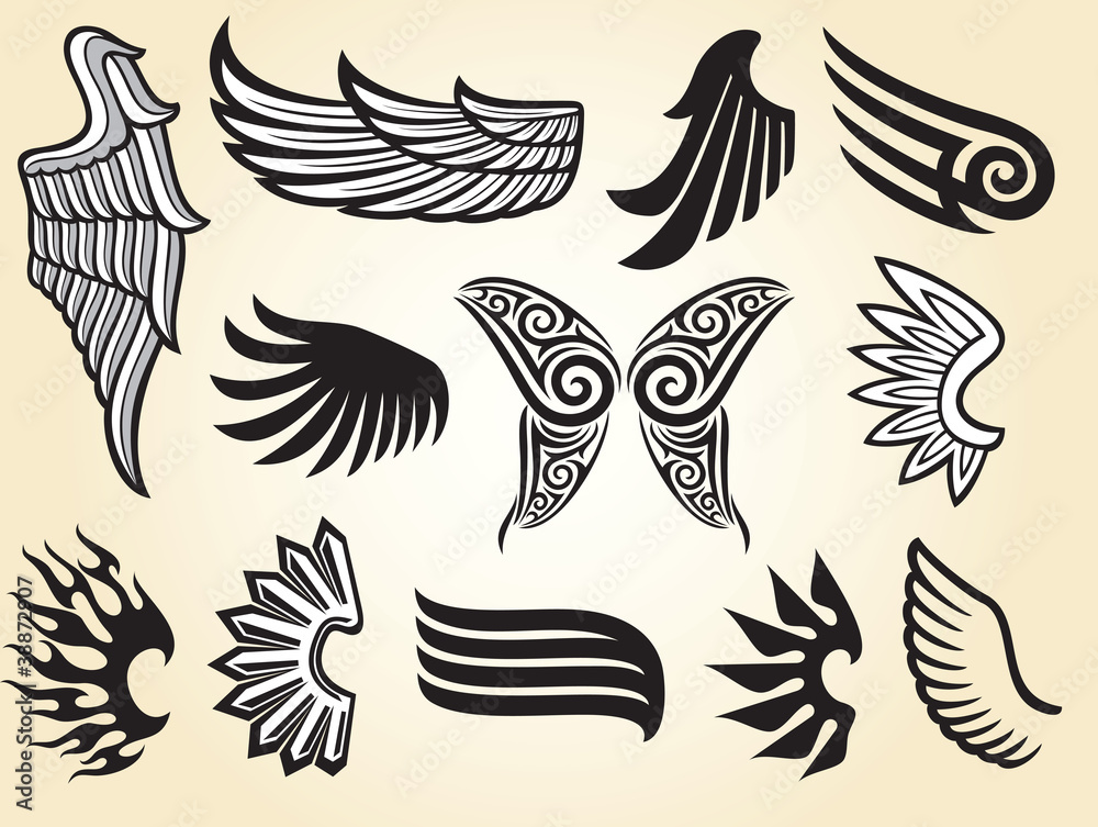 Obraz premium wings collection