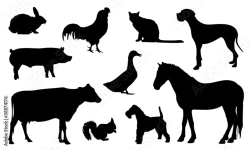 animali sagome