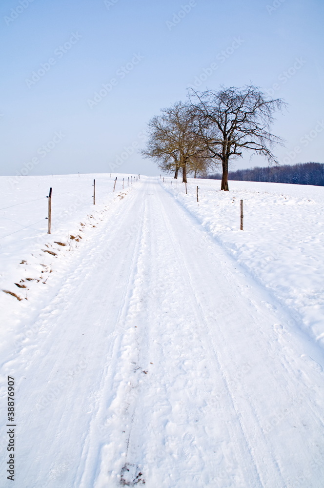 Obraz premium Winterstrasse