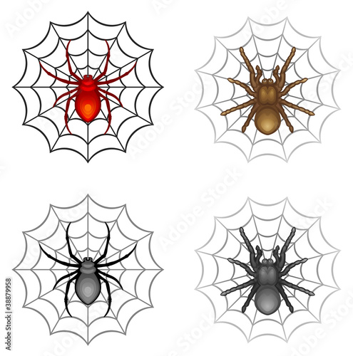 Spider
